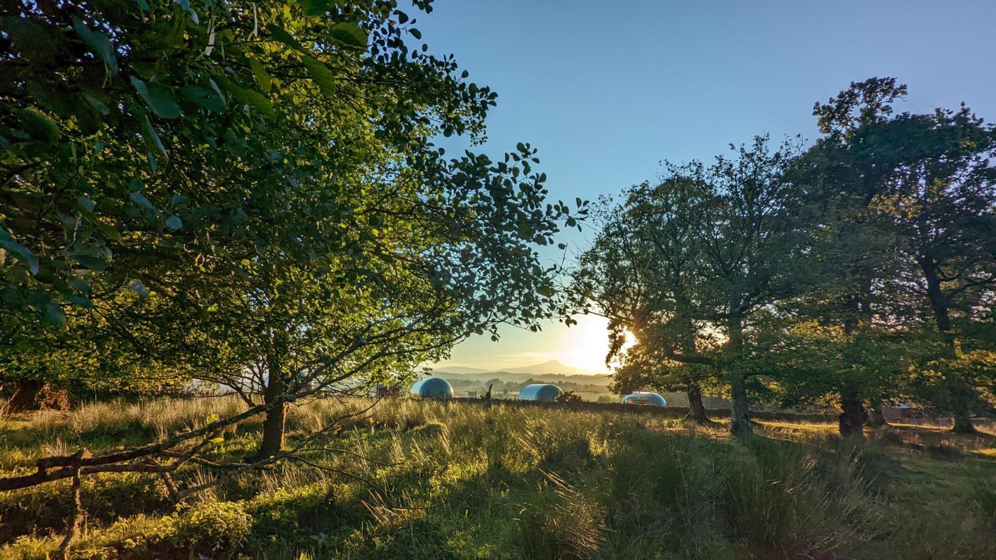 Cardross Estate Glamping Pods Hotel Stirling Buitenkant foto